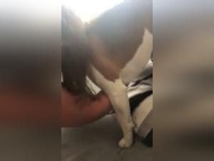 A bestial and passionate adventure in Argentina