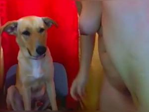 Découvrez l'Extase de la Zoophilie