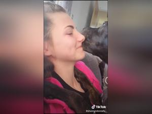 Unleash Your Inhibitions: Extreme Dog Sex Videos