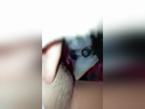 Parte 3: Sottomissione indistruttibile, delizie degli animali