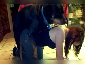 Shocking video: a young woman and a dog in a bestial sex scene
