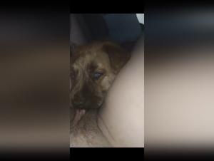 Bestial Video: Pushing the Limits of Ecstasy