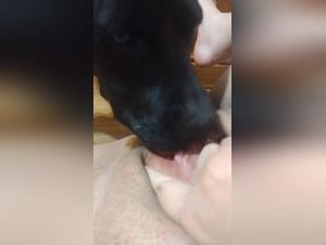 Doggy Porn with a Hot Milf and Her Pup