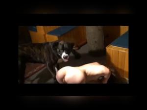 Bestiality sex video with Zooskool Inke and others