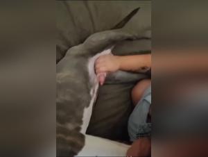 Doggy Debauchery