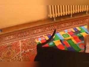 Witness the Passion Between Two Girls and Their Dog