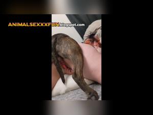 A shocking story of zoophilia