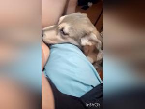 Georgie, la troia che ama il suo cane