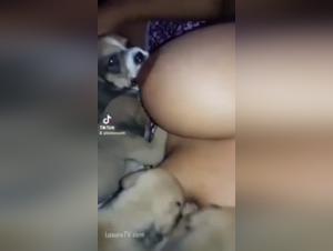 Explore the limits of ecstasy with a one-of-a-kind bestial video