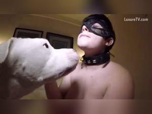 Potenza bestiale, divertimento condiviso