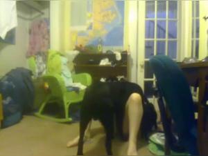 Dog sex video: nerd and dog