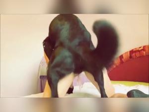 Sex video with a dog: discover the extreme