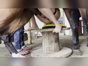 The horse features as a beautiful sexy companion, enticing men to lower their trousers for her.