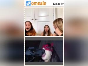 Dog sex video: Blonde woman and dog in shocking zoophilia scene