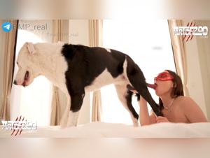 Fick mit dem Hund, entdecke Ivanas Intensitat