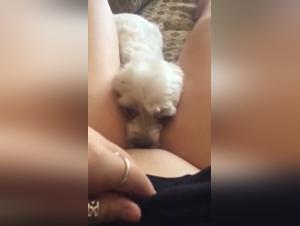 Discover the Ecstasy of Zoophilia