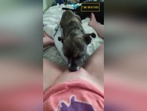 Sinita le tue fantasie piu profonde: Doggy Fuck Woman in alta definizione