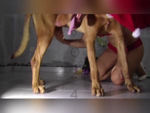 Bestiality and Sex with Dogs Videos