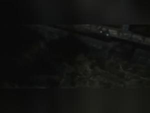 A video of extreme zoophilia with a horse