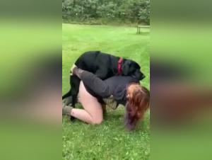 Experience intense moments with this dog sex video
