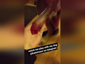 Beastiality Cartoons & Female Orgasm