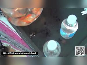 The passionate exchange between a young woman and her canine companion