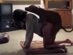 Bestiality Sex Video: An Extreme Experience