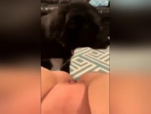 dog knot girl first time