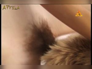 MuviSex & Explored K9 Relations