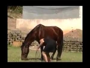 Bestial video: Laura and her horse in extreme practices