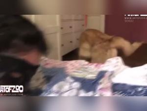 A unique sexual experience with a dog