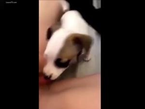 Dog sex video: A unique and intimate relationship