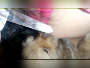 Discover a unique sexual experience with an animal