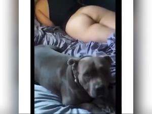 Unique zoophilia experience - Check out our latest video