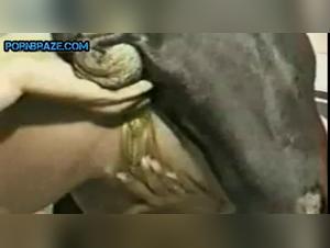 masturbation bestiale, moans et plaisir sauvage