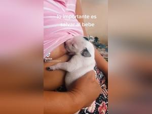 Hard zoophilia scene: Woman and puppy