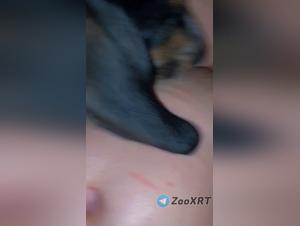 Mistress y su perro: escenas obscenas ineditas