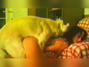 Inexperienced Ninfetas in Bestiality Sex Videos