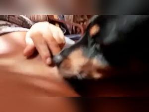 Discover the world of bestiality with this dog sex video
