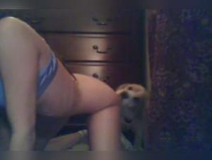 Watch Bestiality Sex Videos with a Webcam Girl and Her Dog