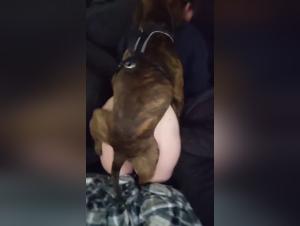 zoophilia and passion