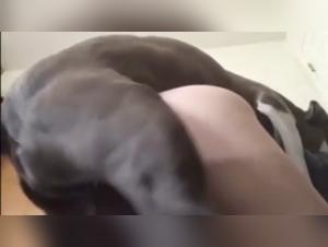 Bestiality video: Discover BellaKath like you've never seen her before