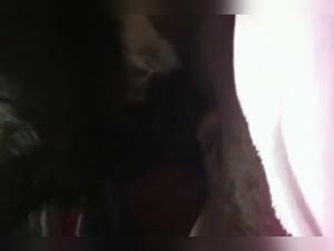 Regardez cette salope se faire baiser hard par un chien dans une vidéo de sexe extrême