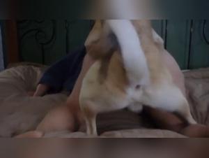 4x scopate intense - Il cane scopa senza pieta la sua padrona
