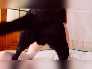 Mad Dog: Sexual Explosion With Devoted Milf