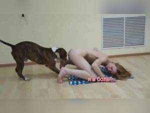 Experience the Extreme with Nadya and Her Canine Partner