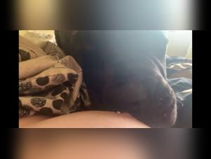 Zoophilia scene with a dog and a woman