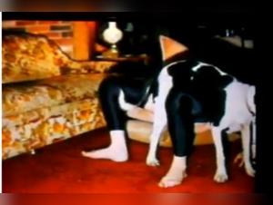 Extreme dog sex video