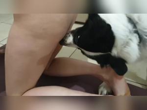Extreme sex video with dog