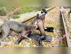 A bestial and exciting experience of bestiality sex and dog sex